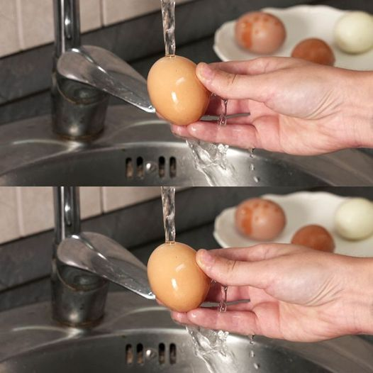 Why You Should Stop Washing Eggs: The Best Way to Store and Use Them