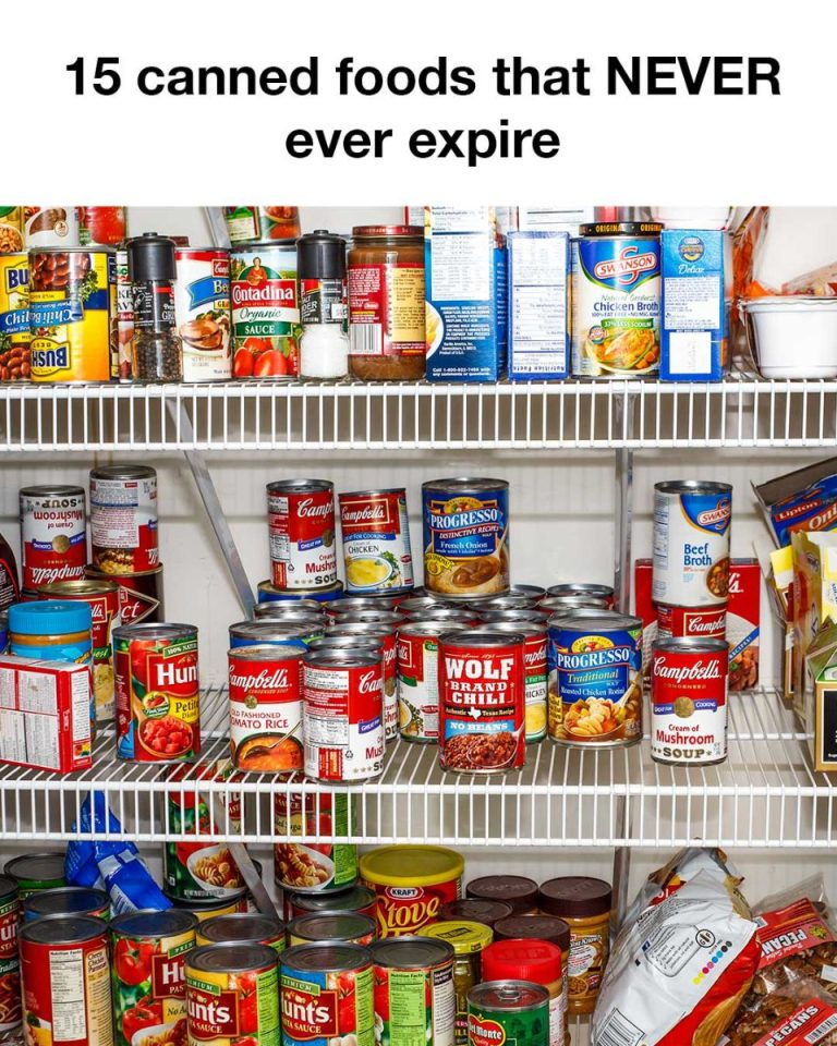 The Timeless Pantry: 15 Canned Foods That Never Expire