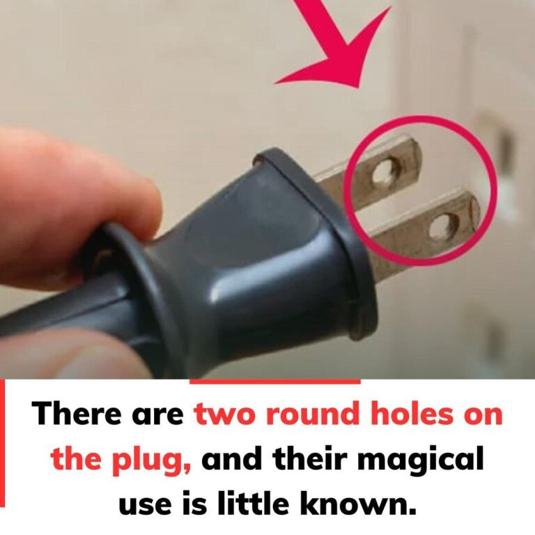 There are two round holes on the plug, and their magical use is little known.