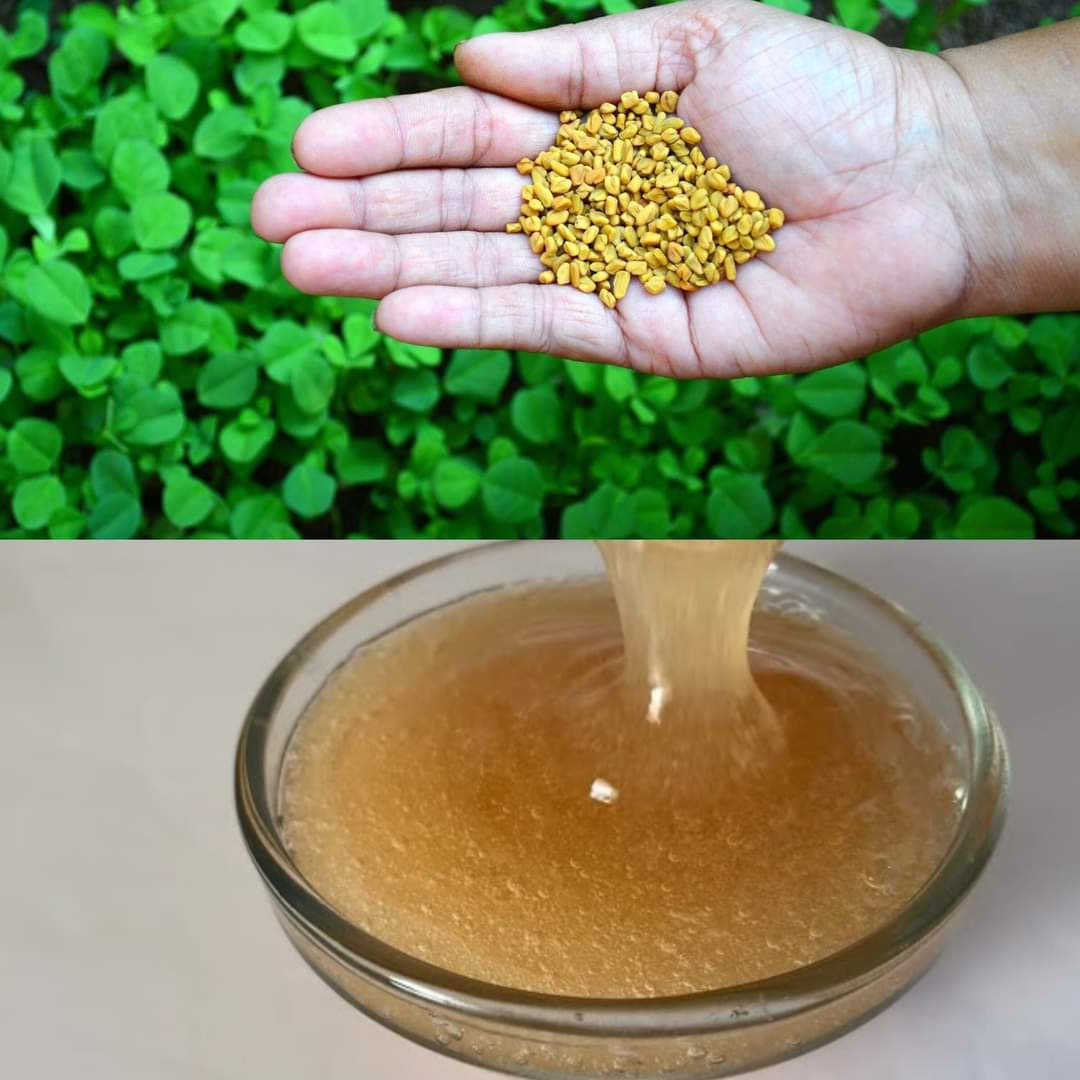 DIY Homemade Fenugreek Shampoo for Silky, Smooth, Shiny & Soft Hair